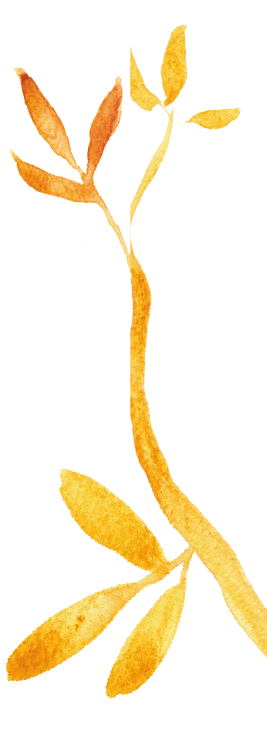 jirlang