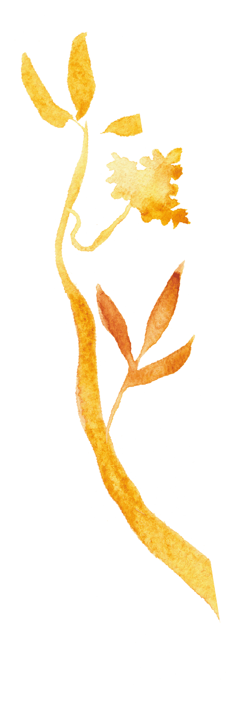 jirlang1
