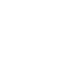 K4-pampas___media_library_original_300_257