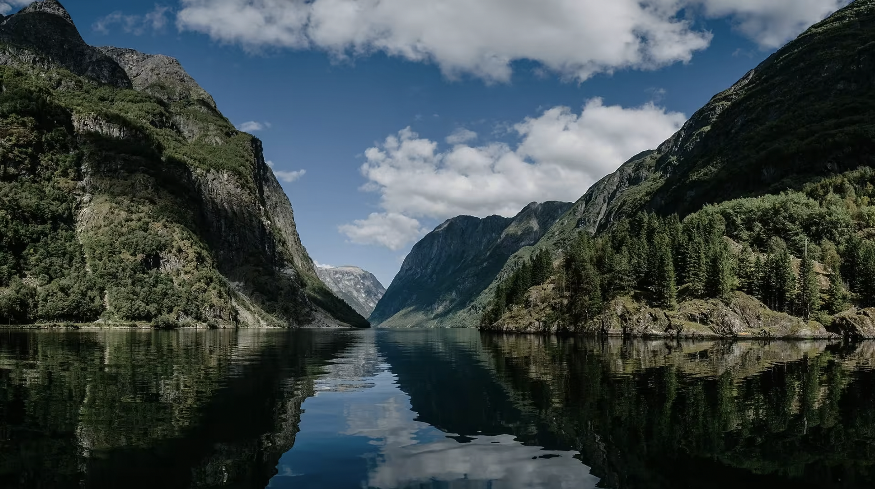 Screenshot 2023-07-19 at 11.08.15