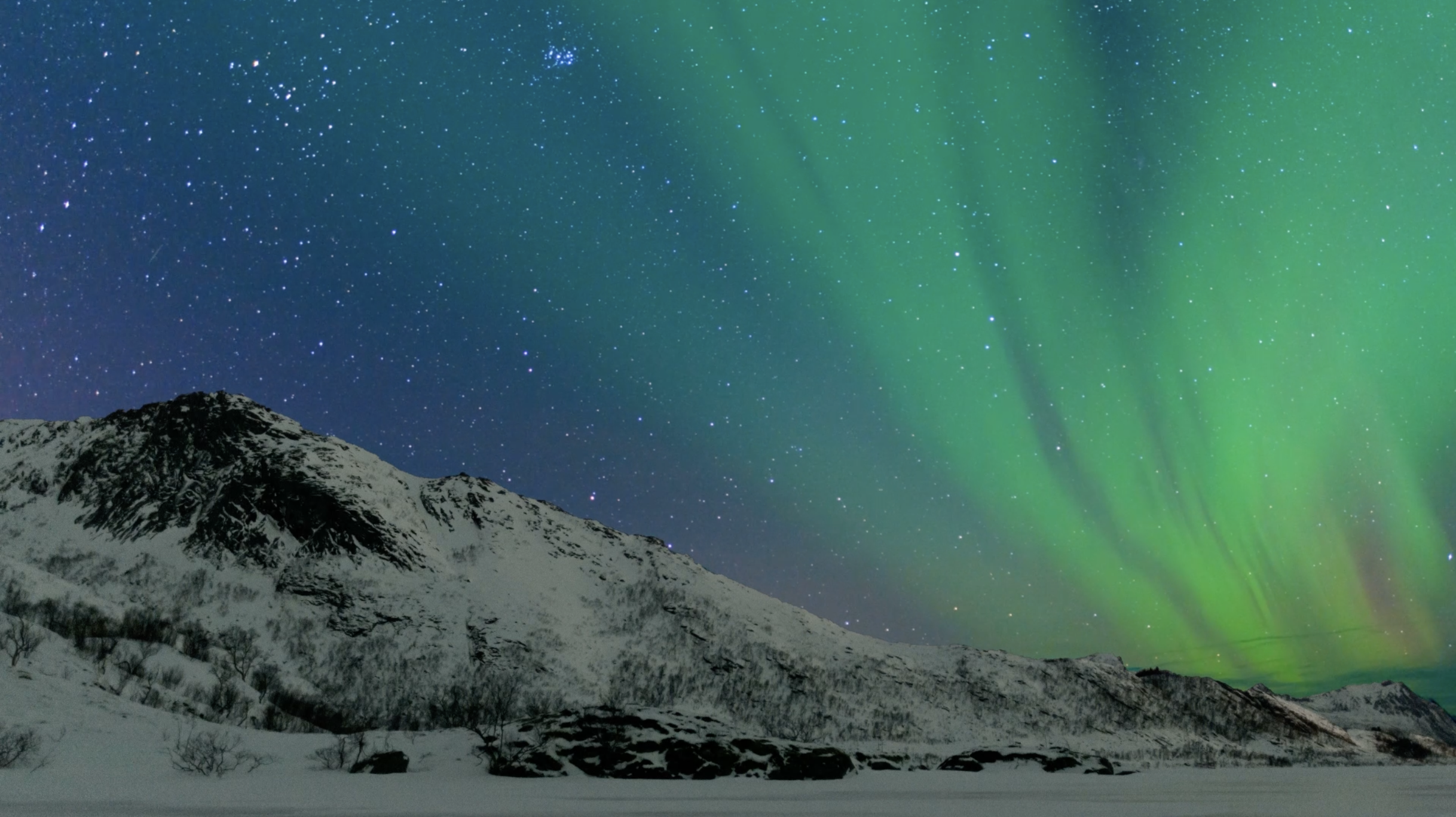 Screenshot 2023-11-20 at 08.20.32