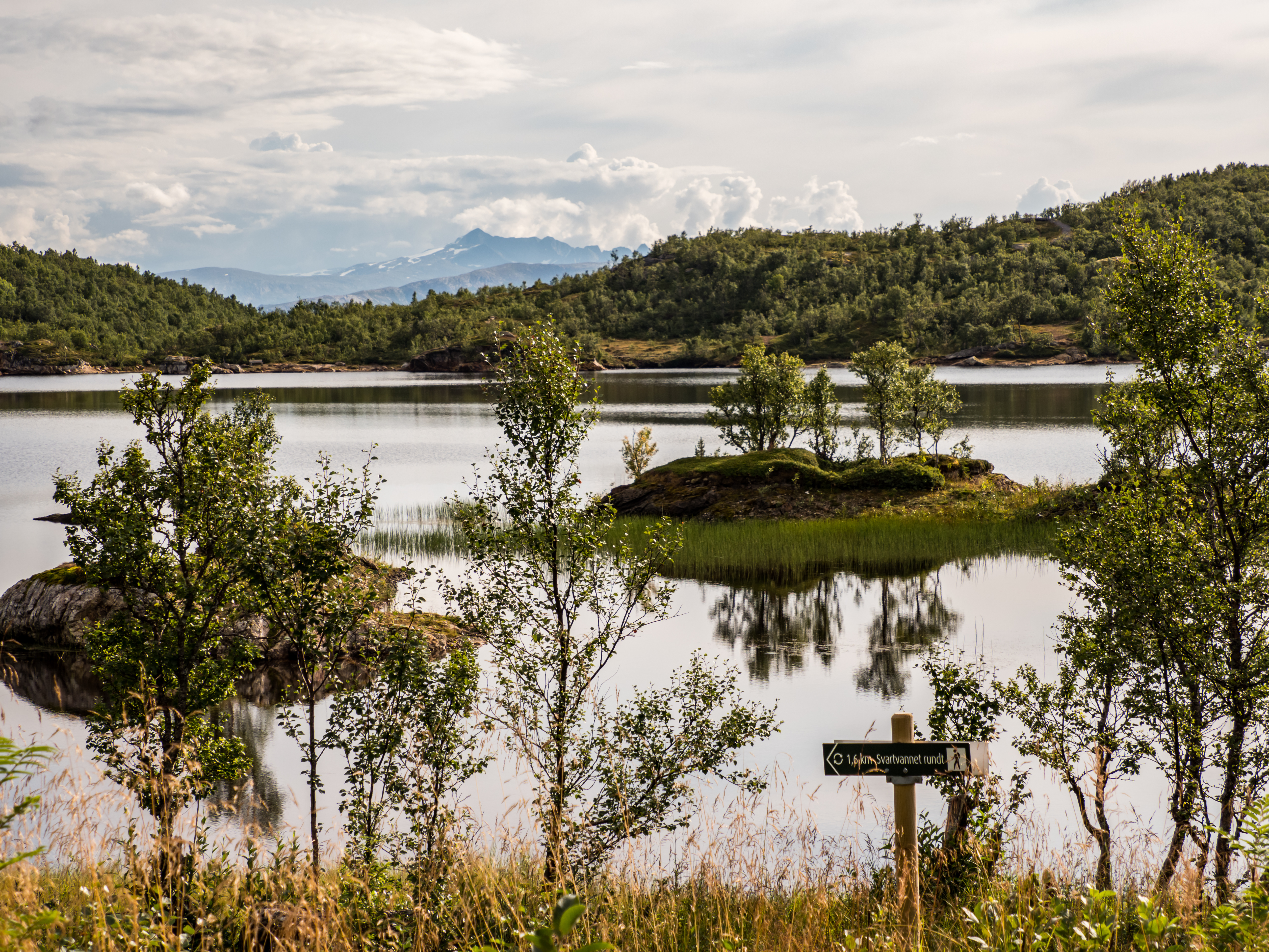 AdobeStock_381902947