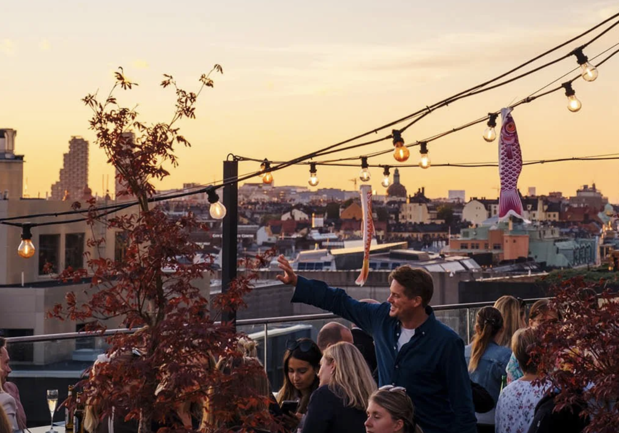 Screenshot 2024-05-17 at 09.24.24