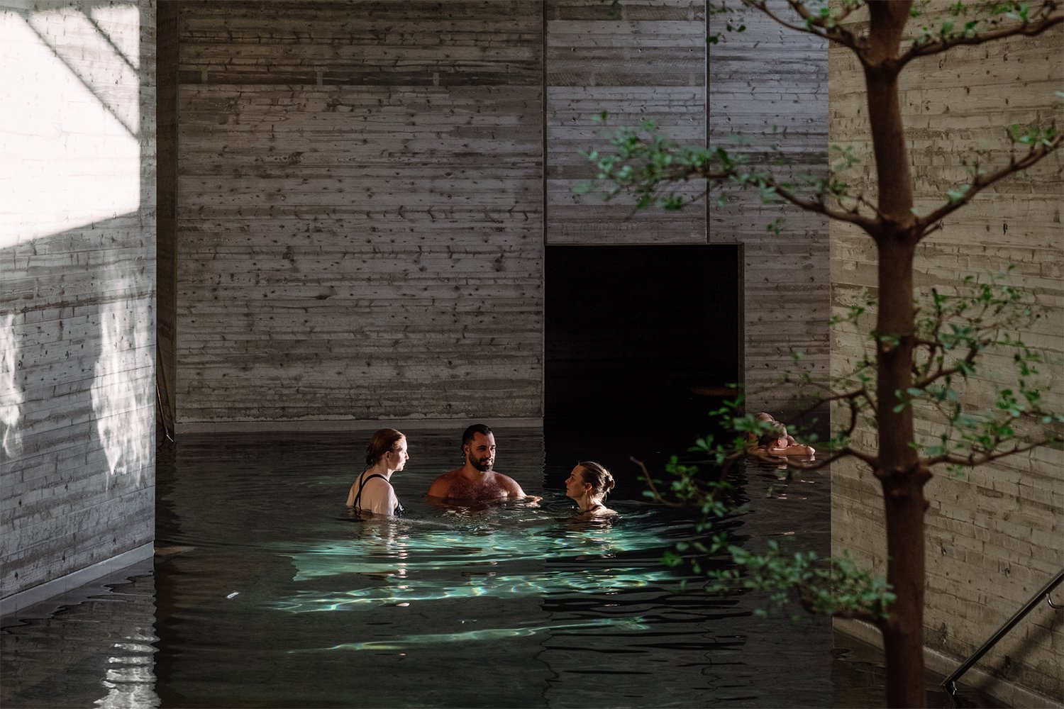 Yasuragi svenska dagbladet