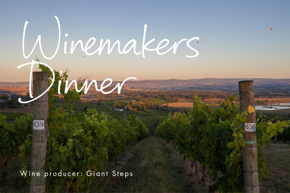 Norda web cover (66)