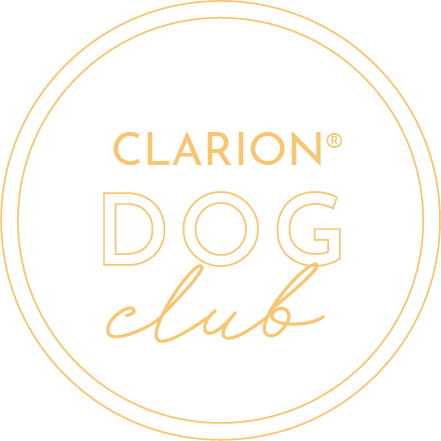 Dog_club_transparent