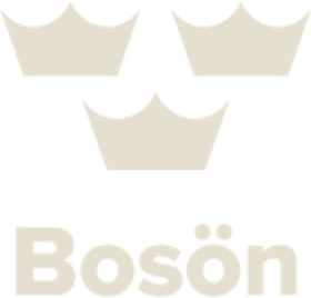 Boson-SMS