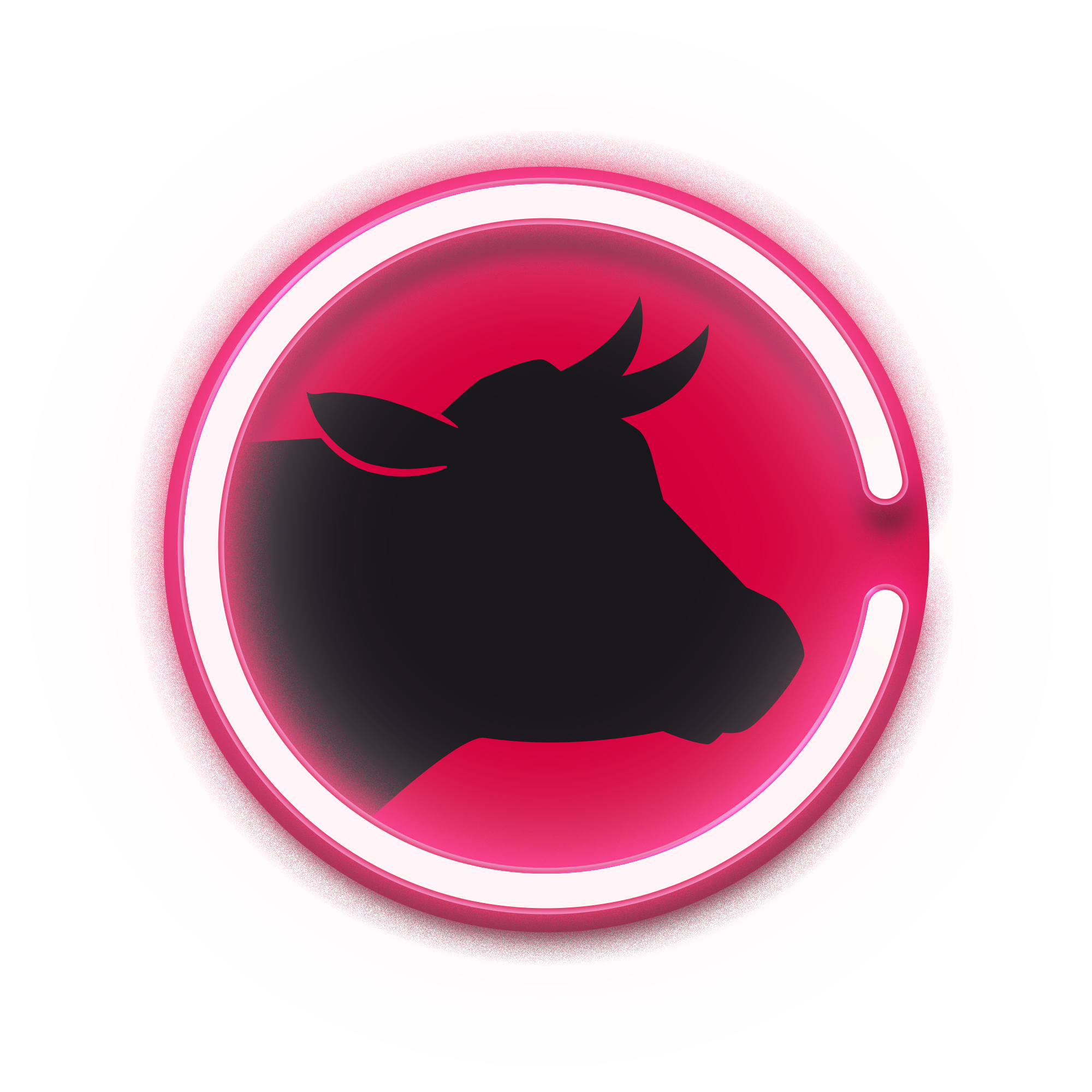 beef