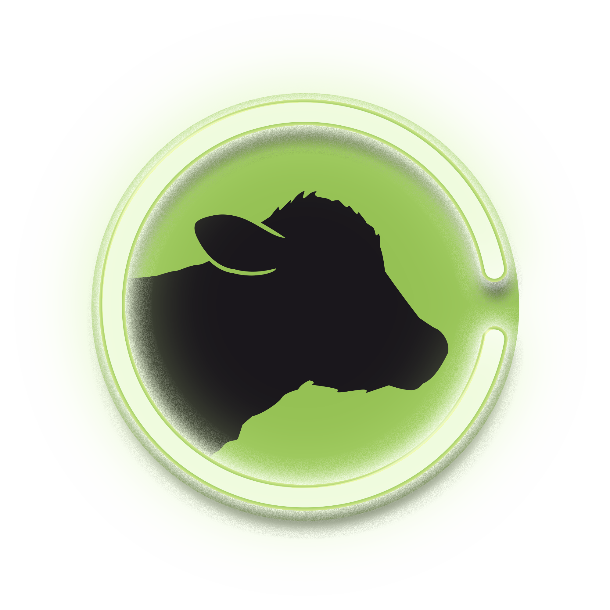 calf