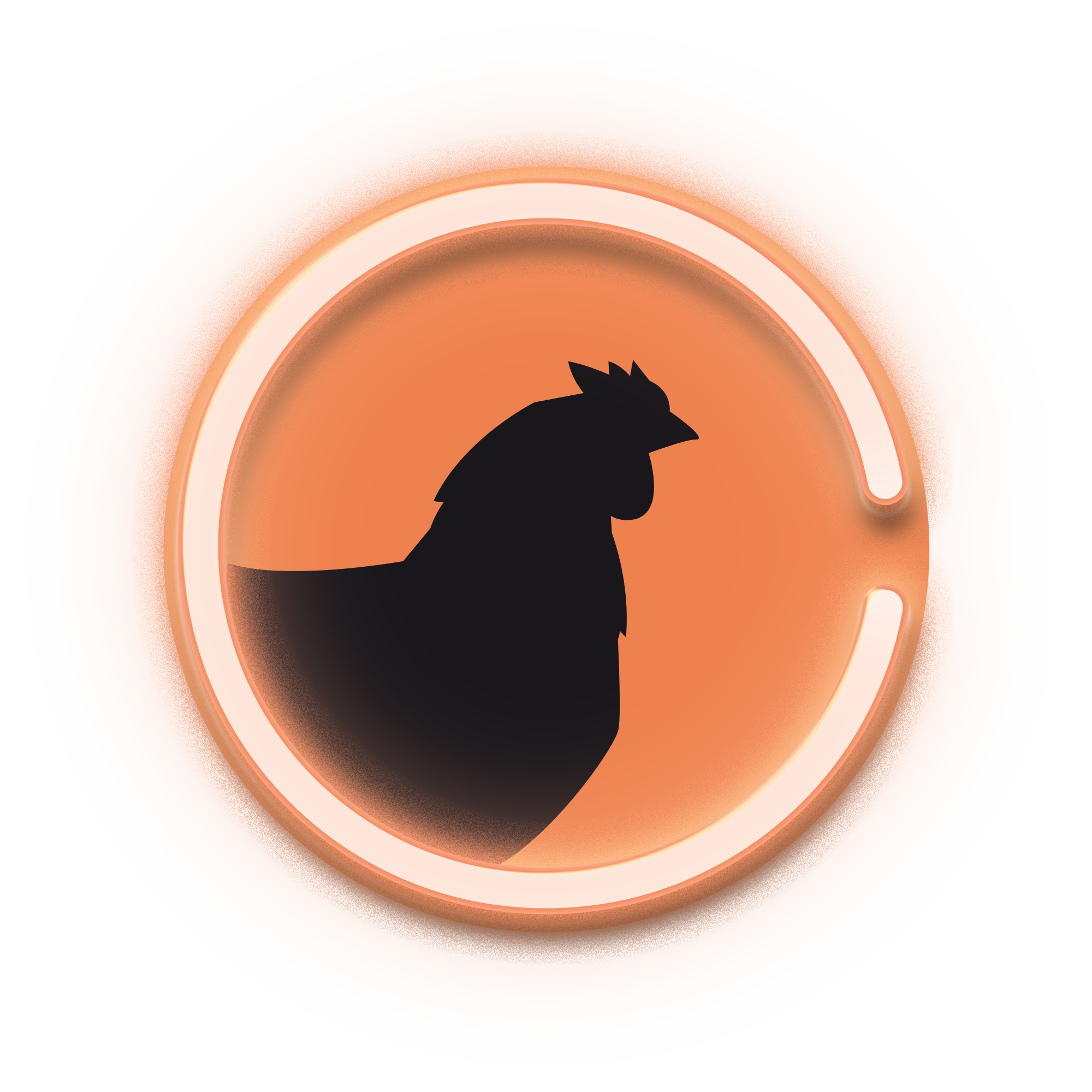 rooster