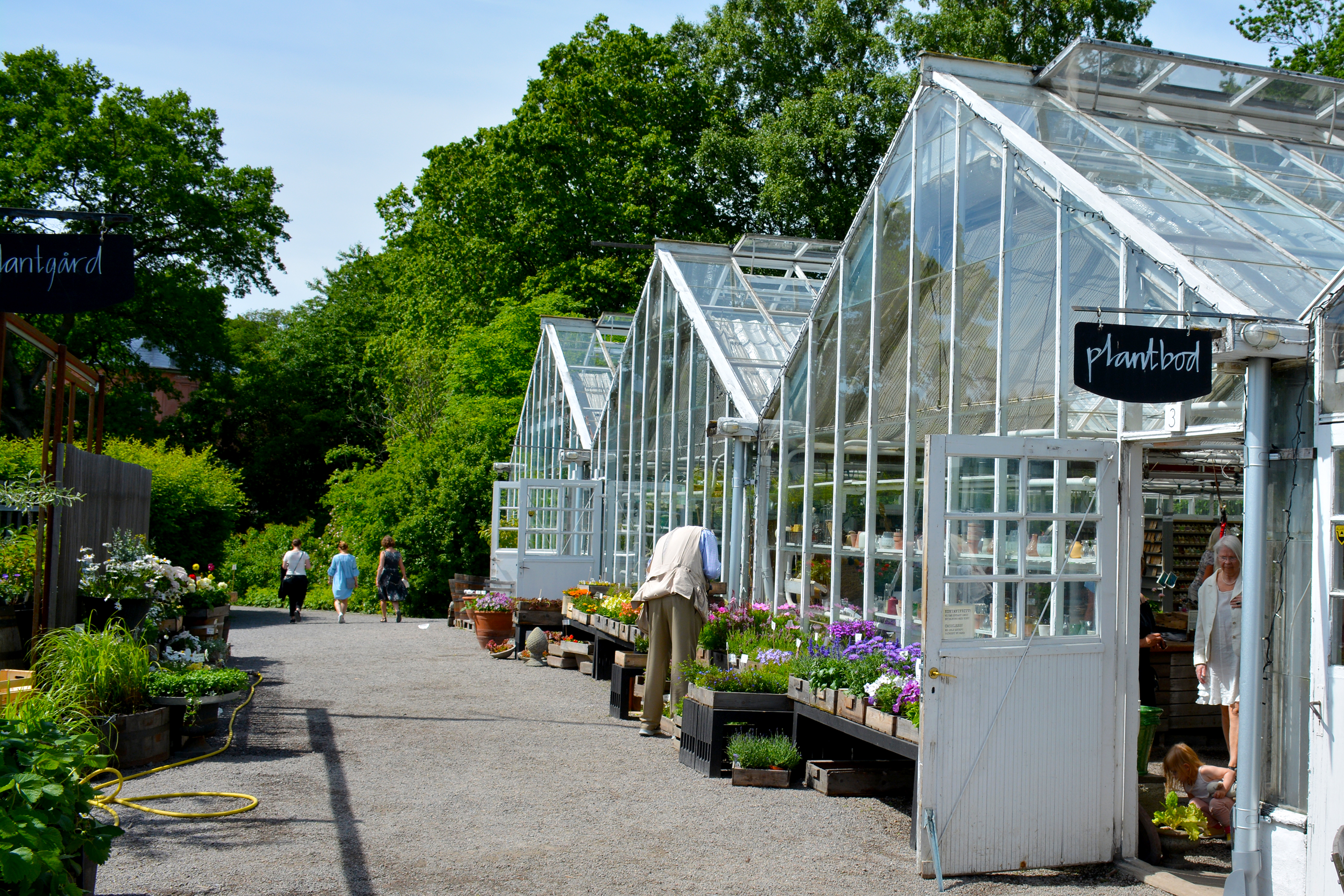rosendals-trädgård