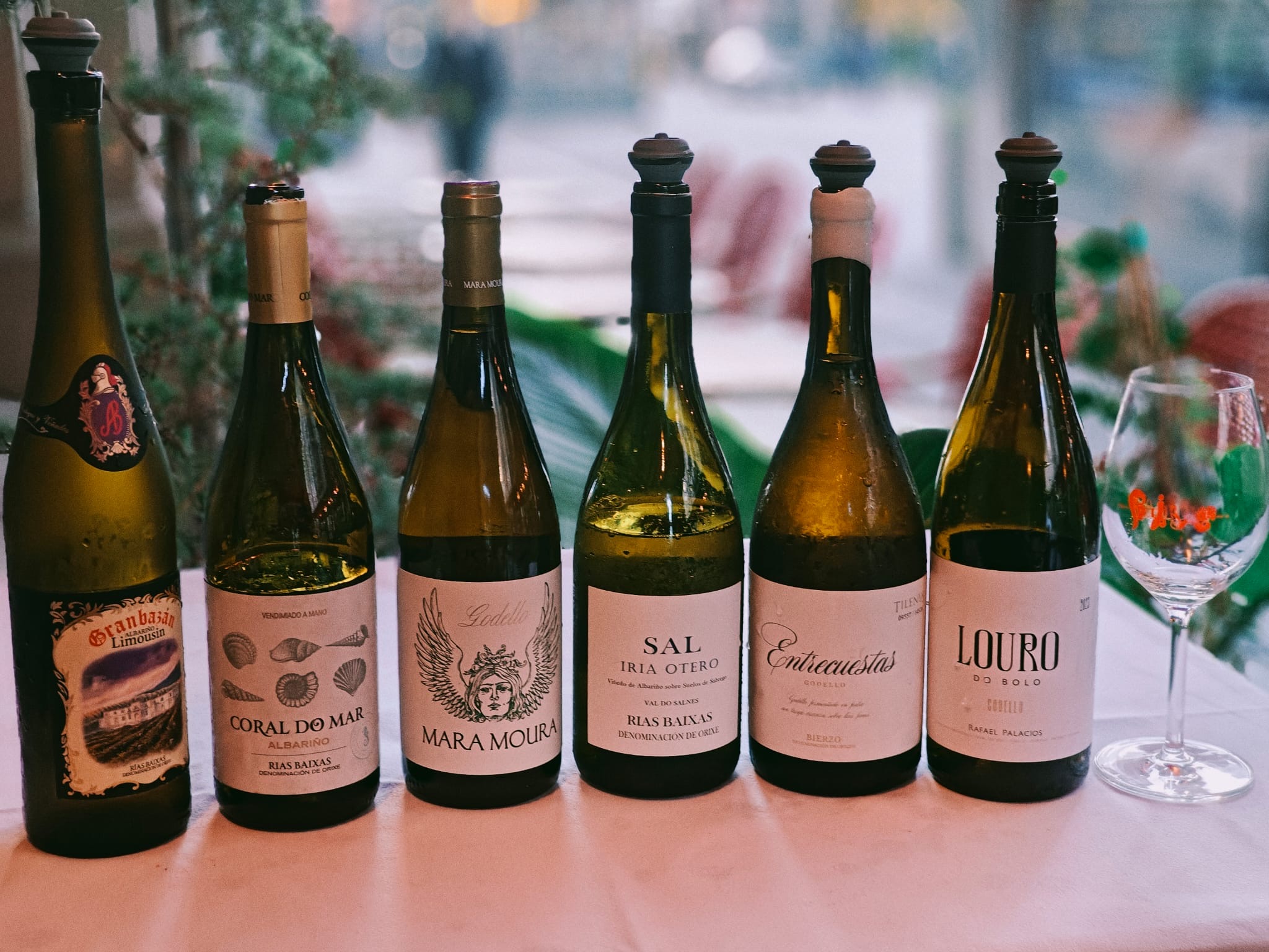 Godello