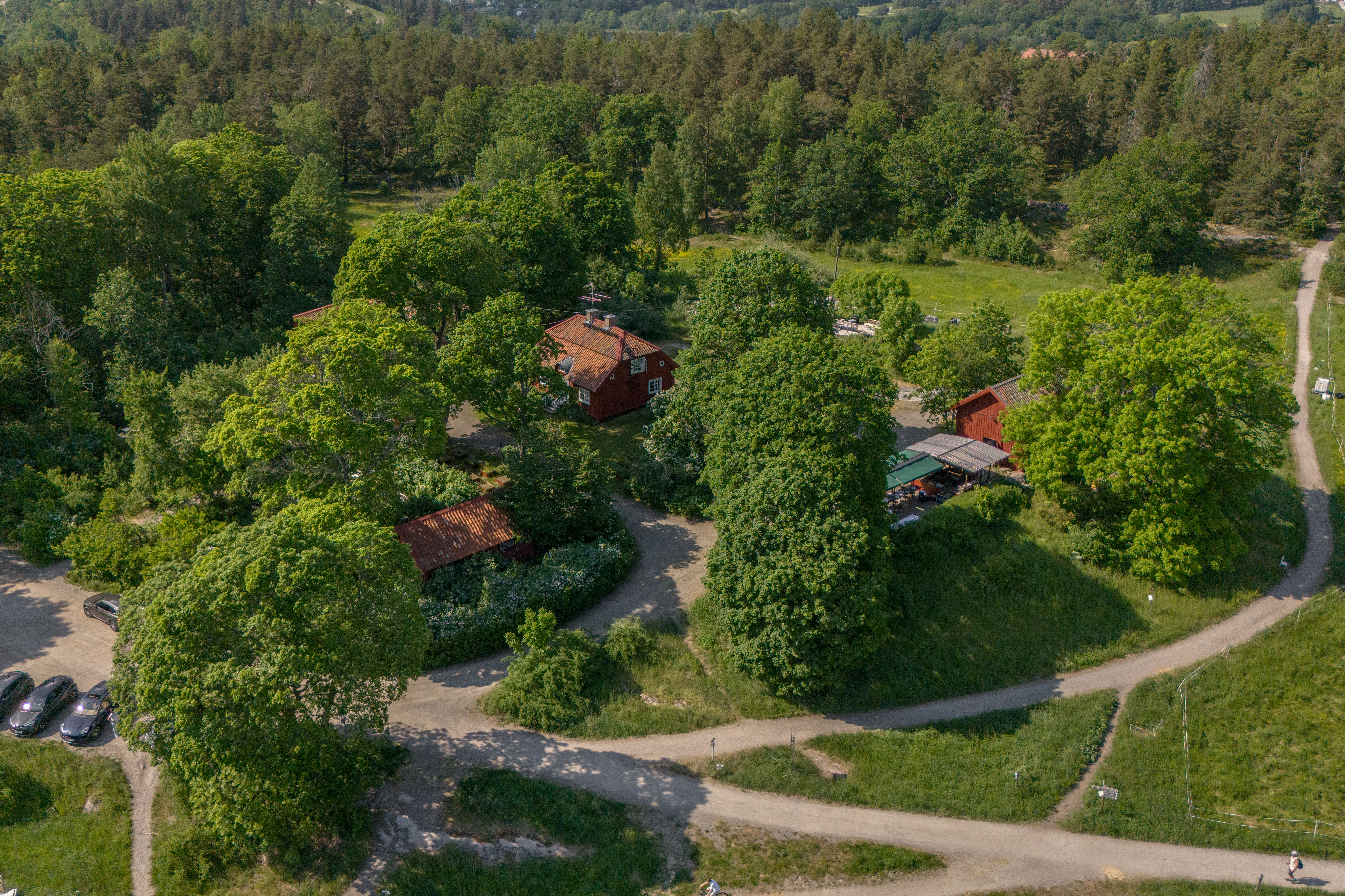 DJI_20240601152524_0008_D