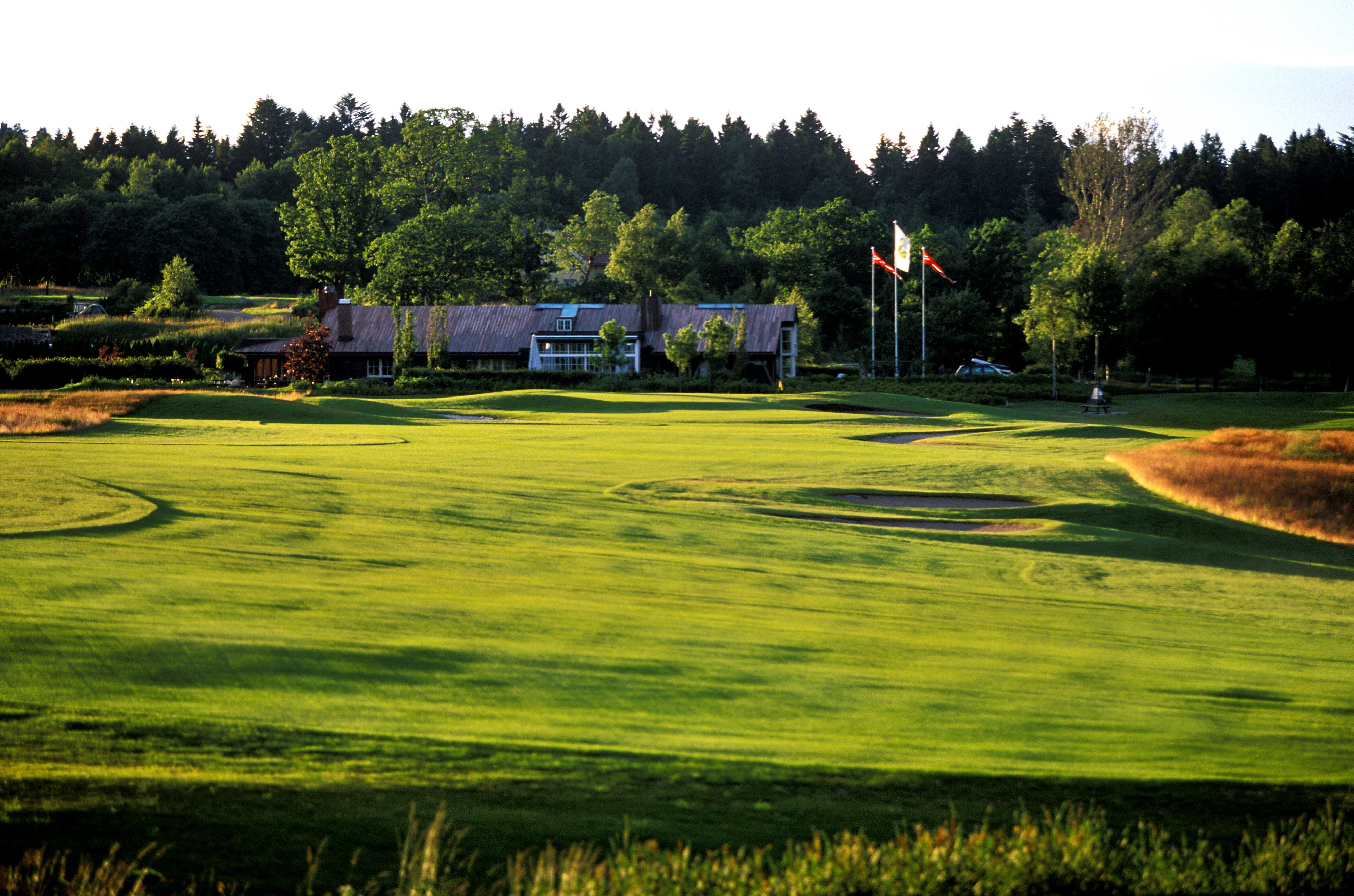 fritzoe golf030