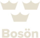Boson-SMS___media_library_original_163_156