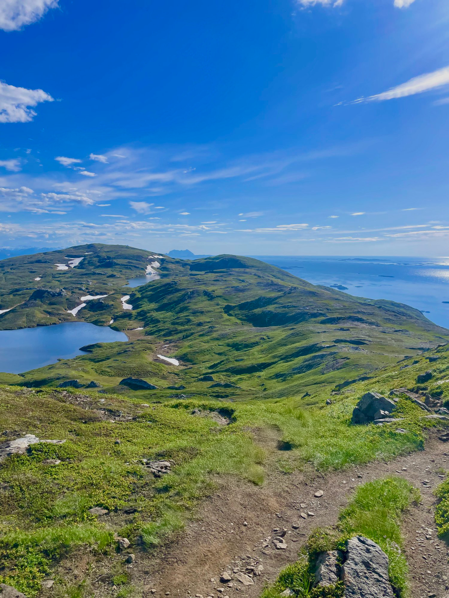 Bodøryggen