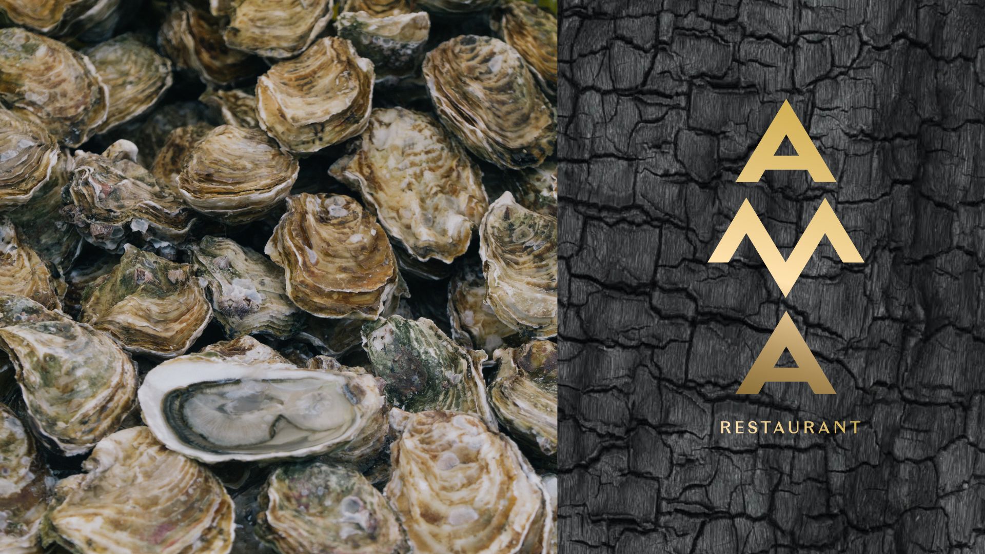 AMA Oyster Day FB event (2)
