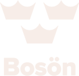Boson-SMS 1