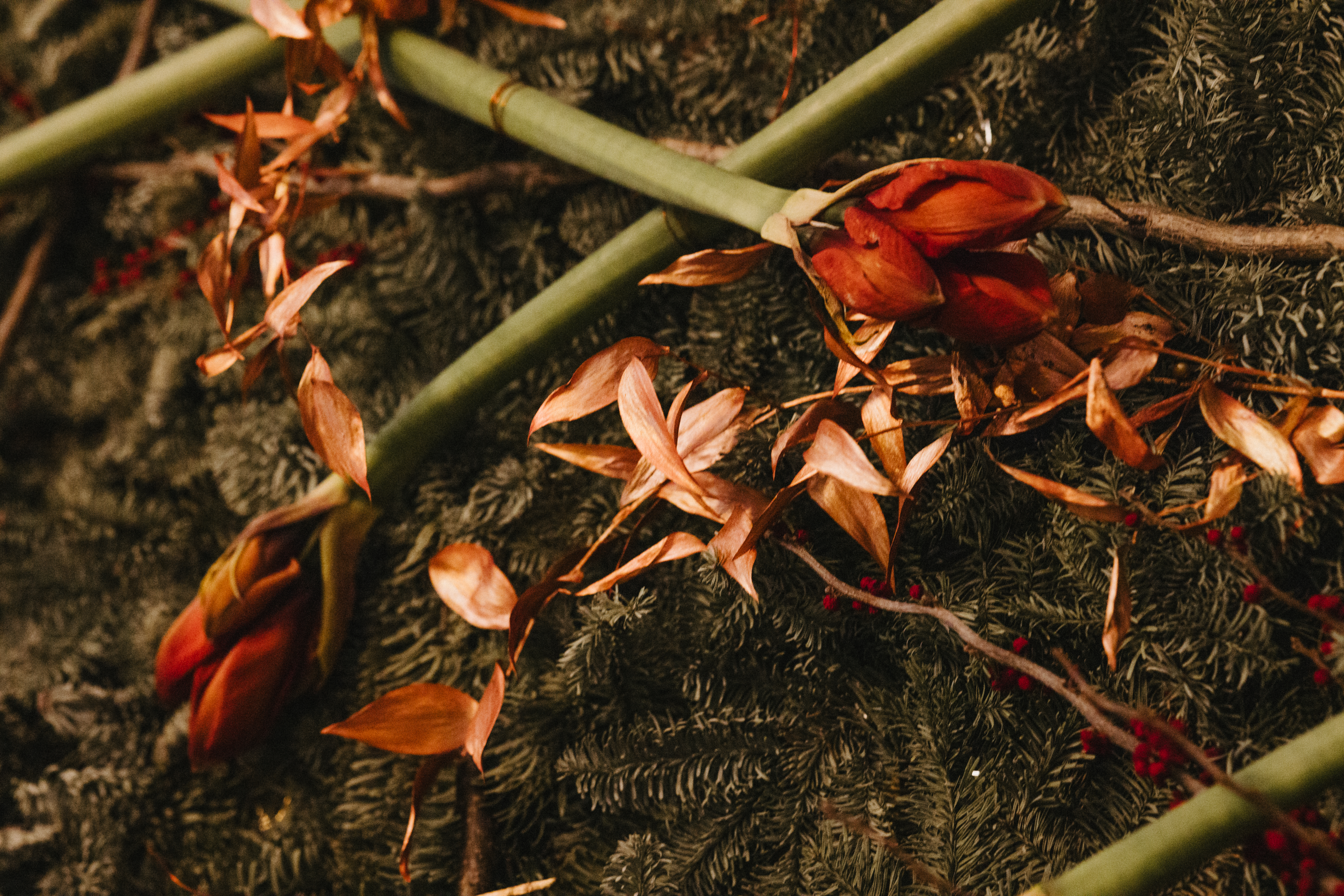 Julen_2023_SMS_11450_Foto_Chatarina_Lundin