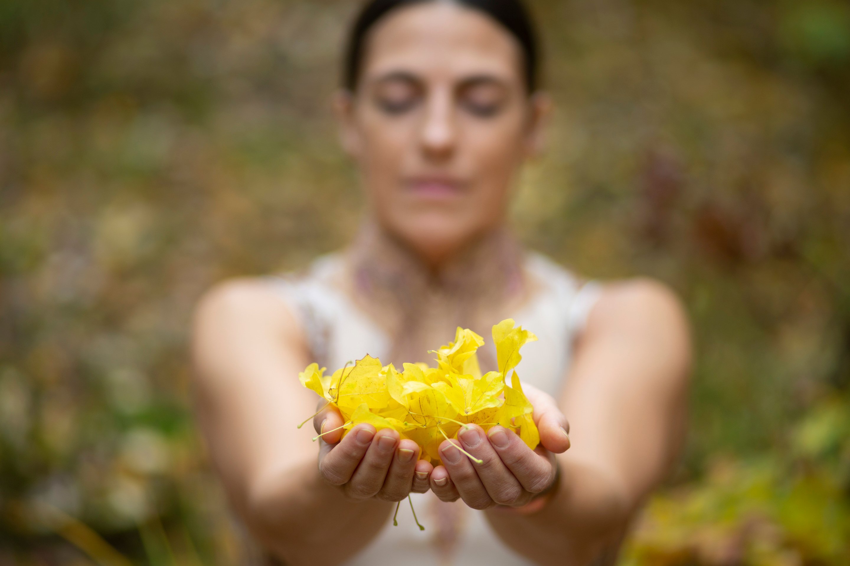 feuilles automne main pushpa