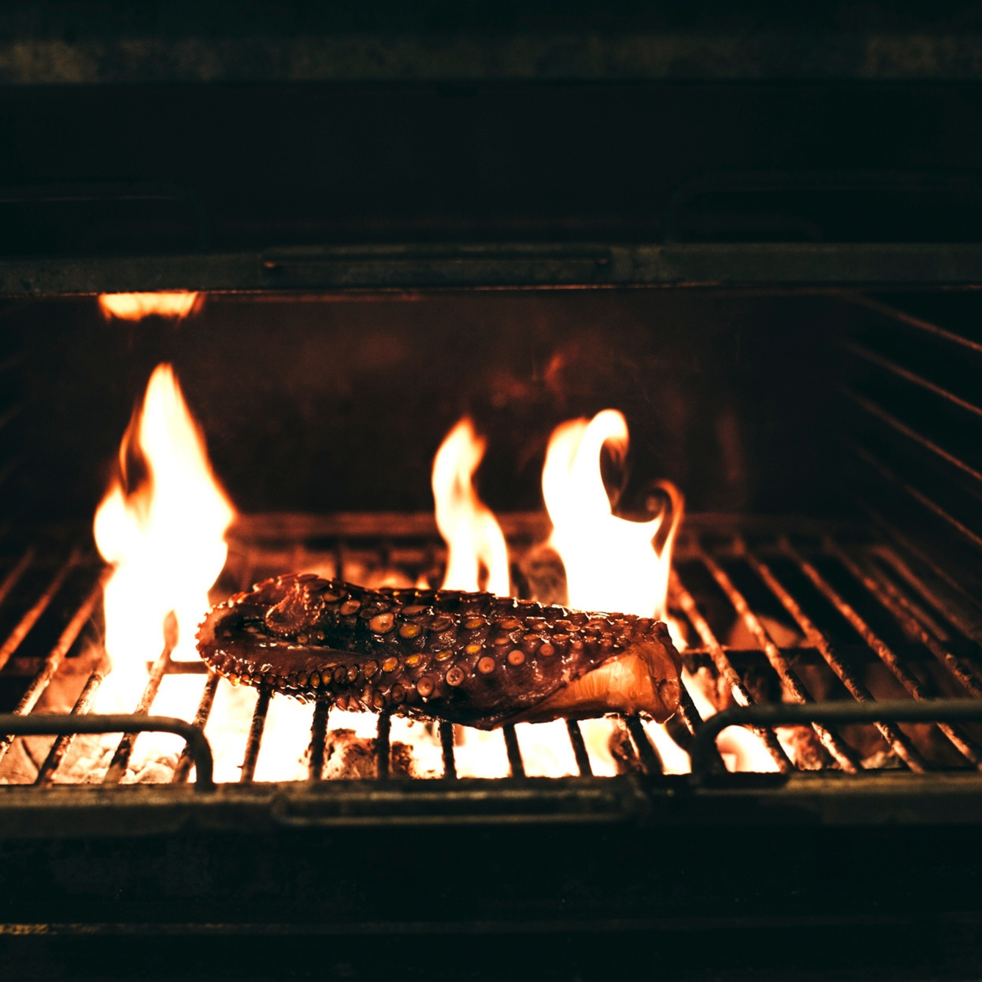 Boqueria annonser-53