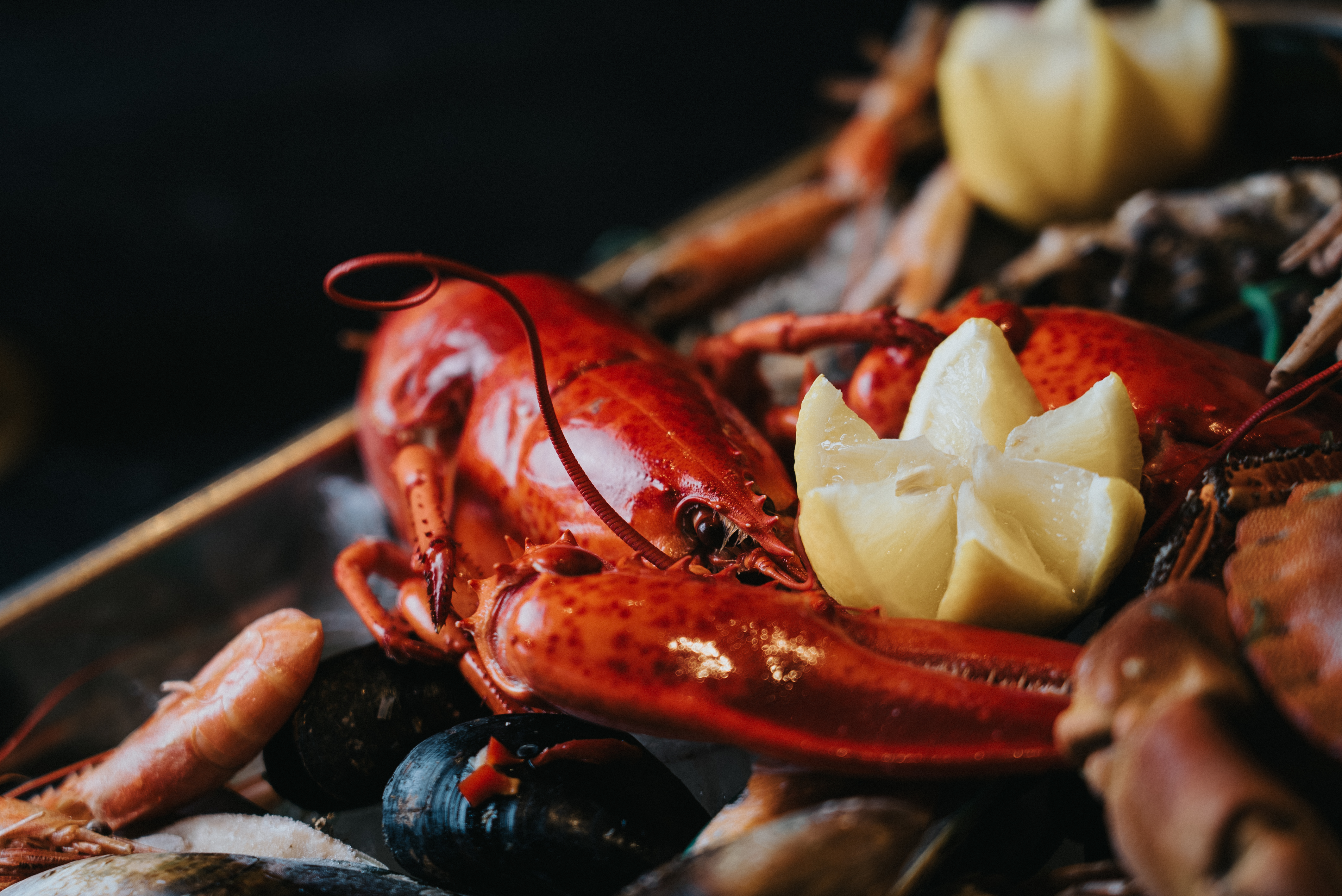 Julbord-2024-Waterfront-8