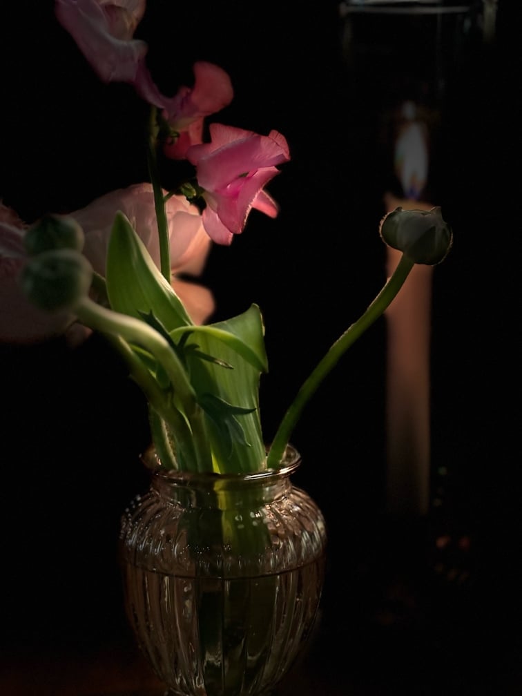 Resized_IMG_3281_1740070321699