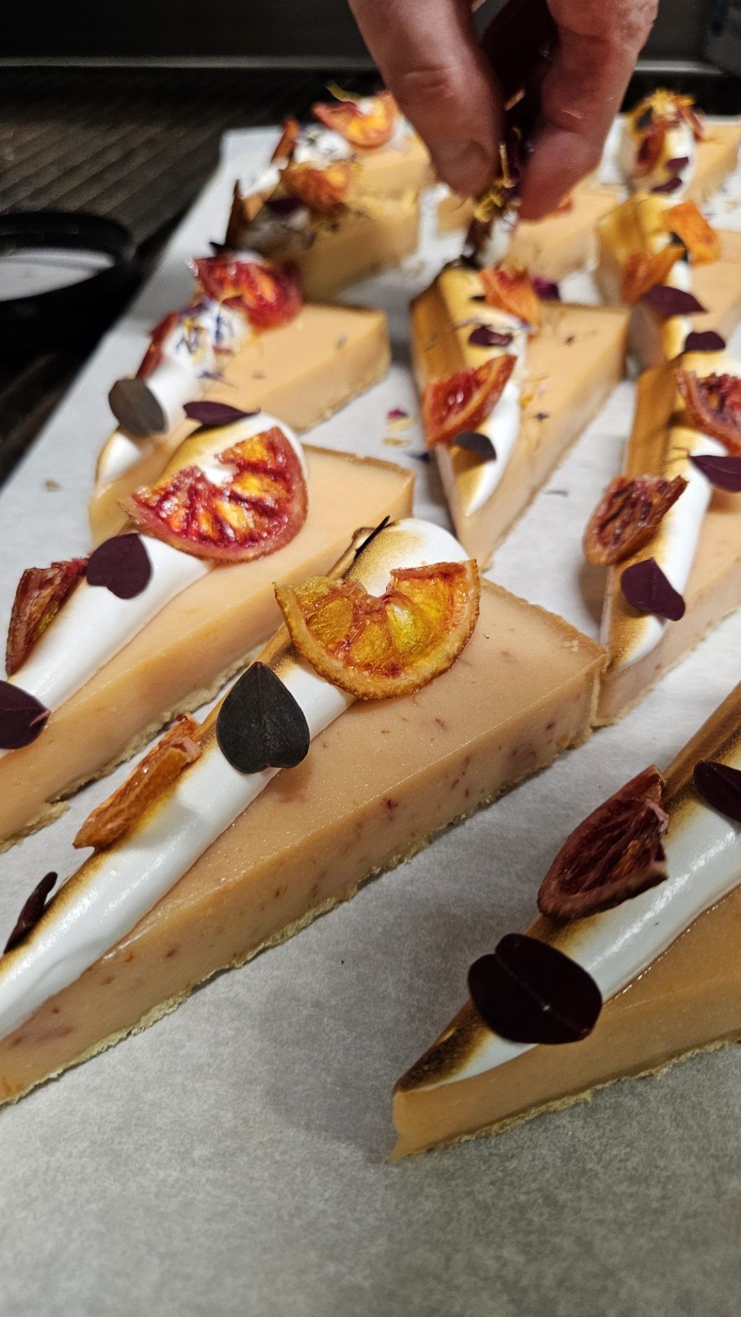 Resized_20250220_200156_1740081238778