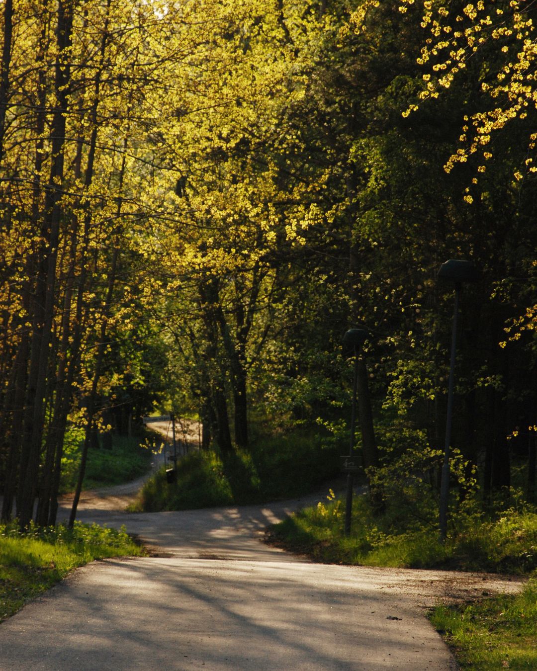 Promenad_Natur_Yasuragi