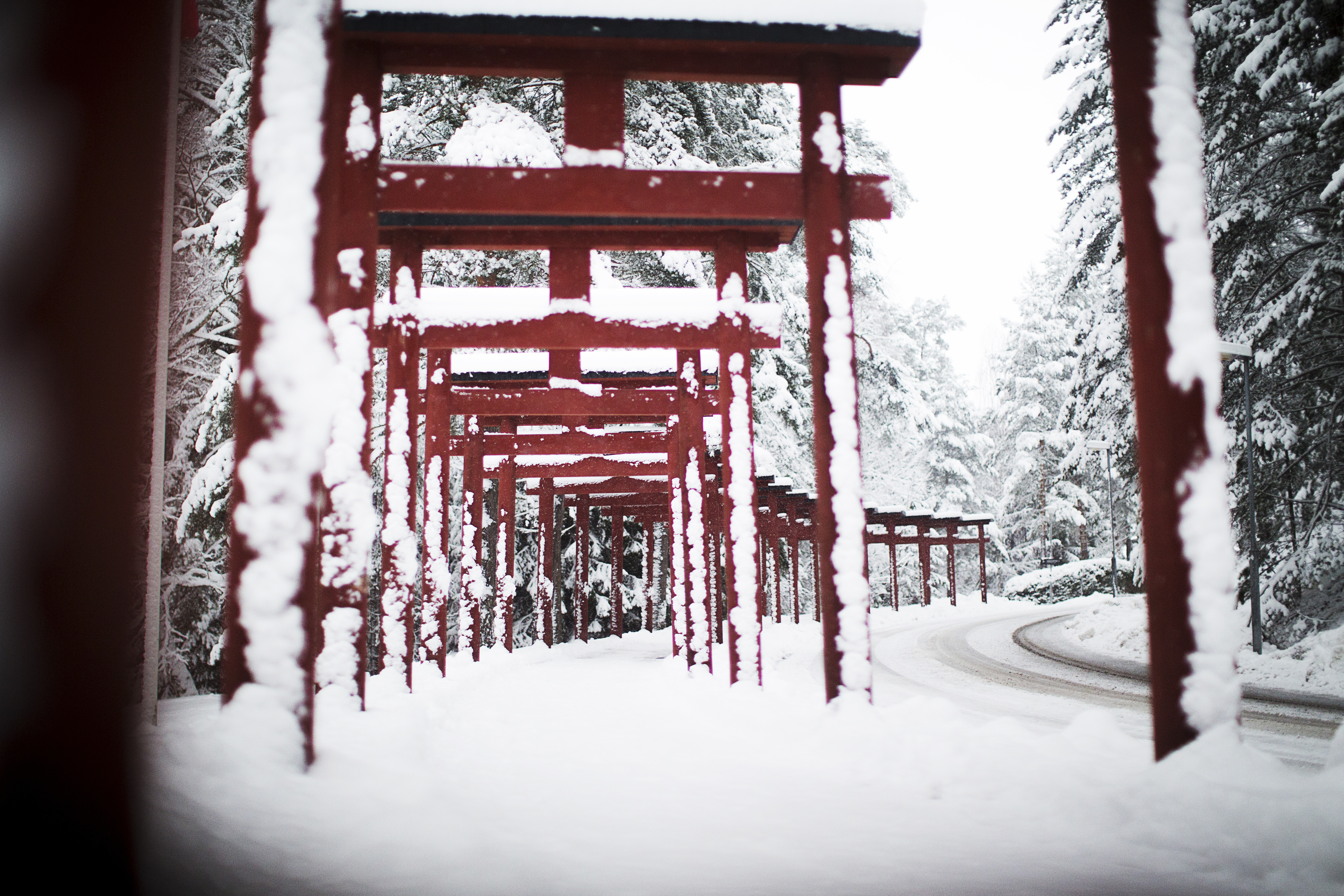 Vinter (1)
