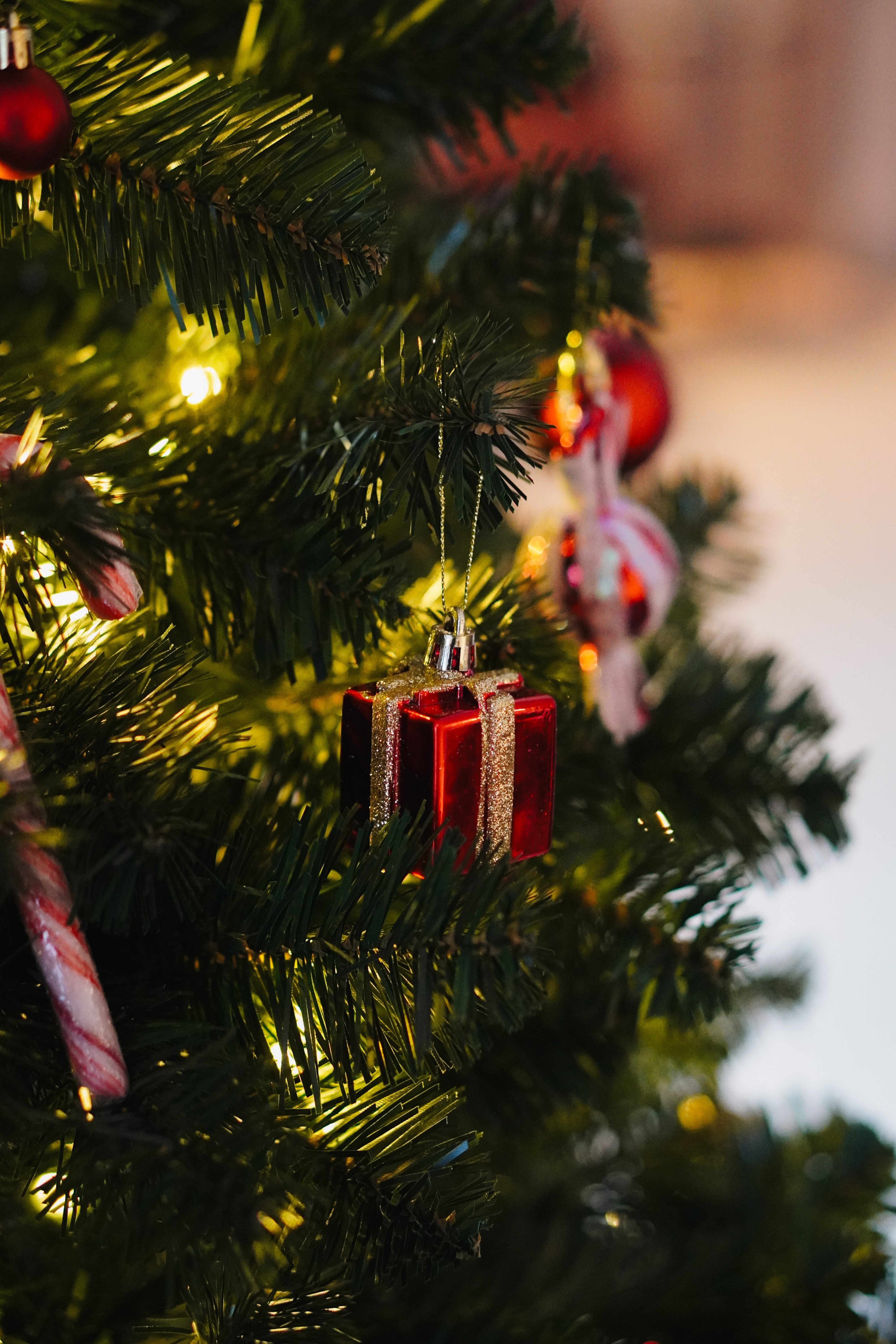 Christmas ClOslo edit2024-17