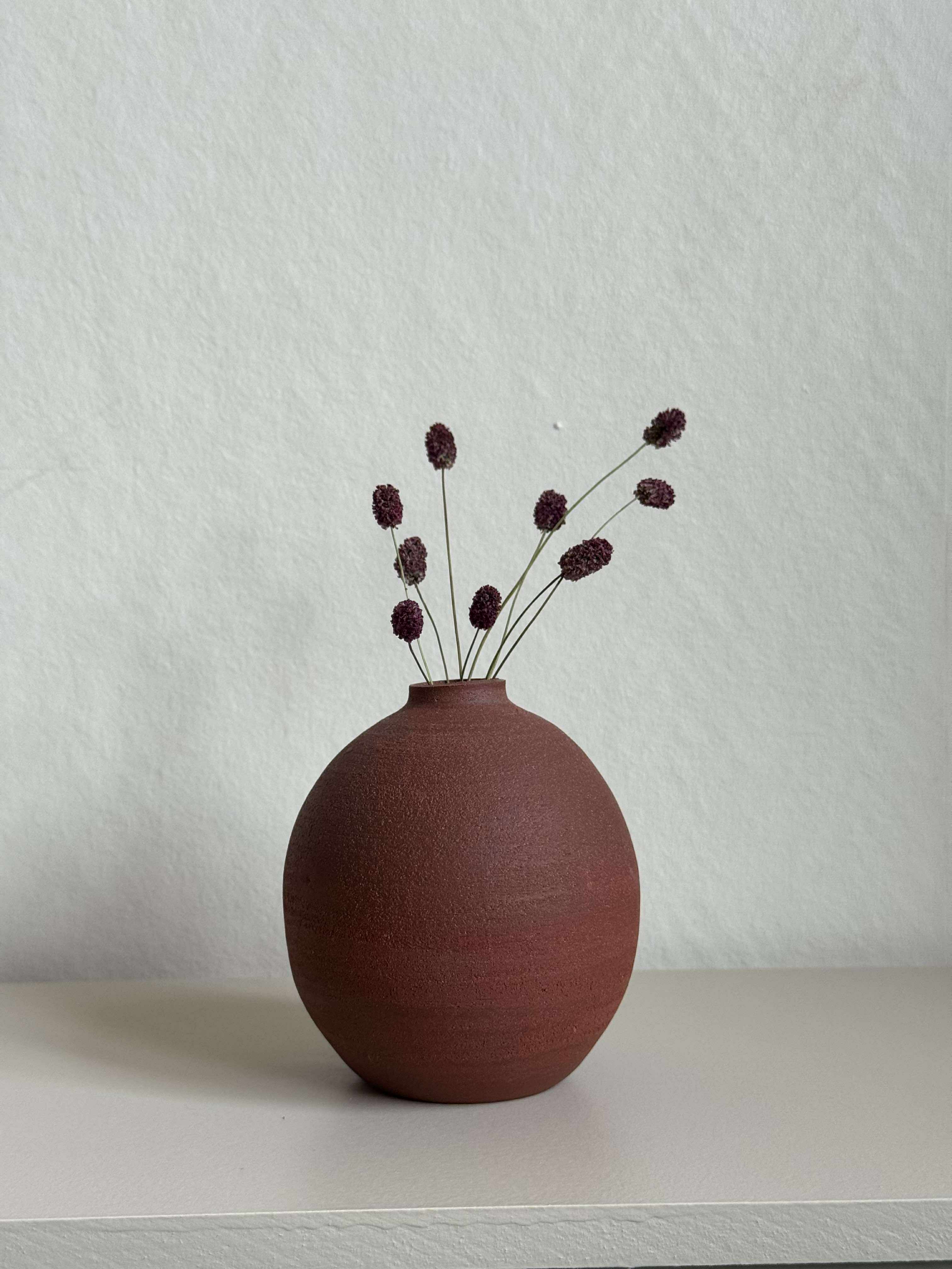 577572358_2034789310621336_7569064483714258988_n