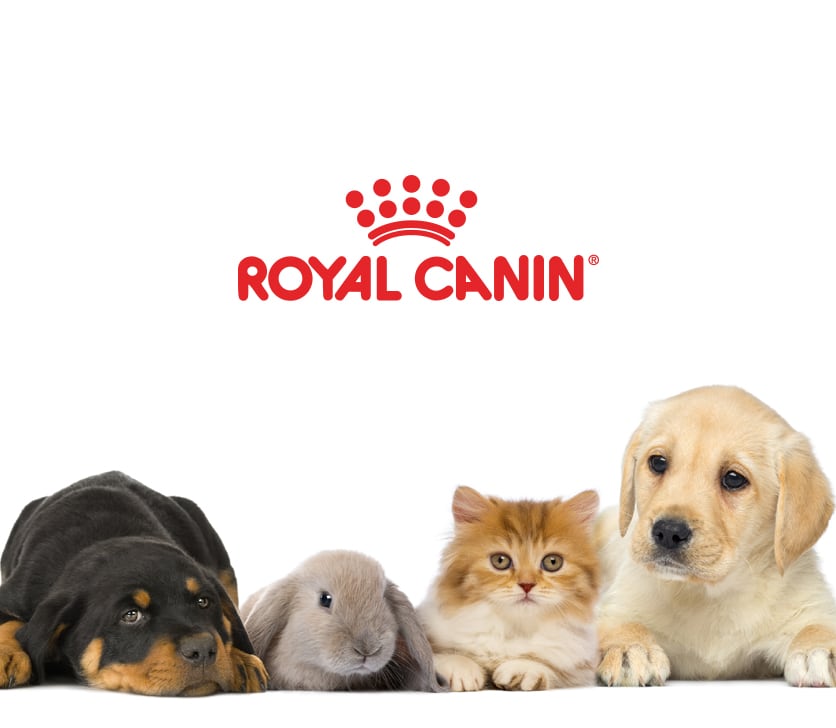Royan Canin Logotyp