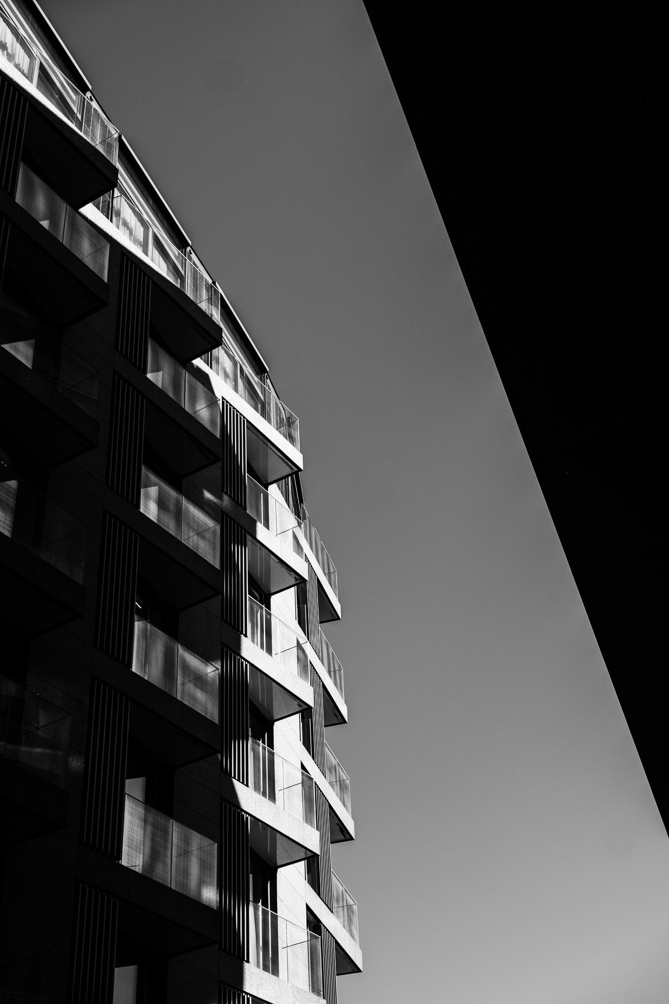 FUJI9378
