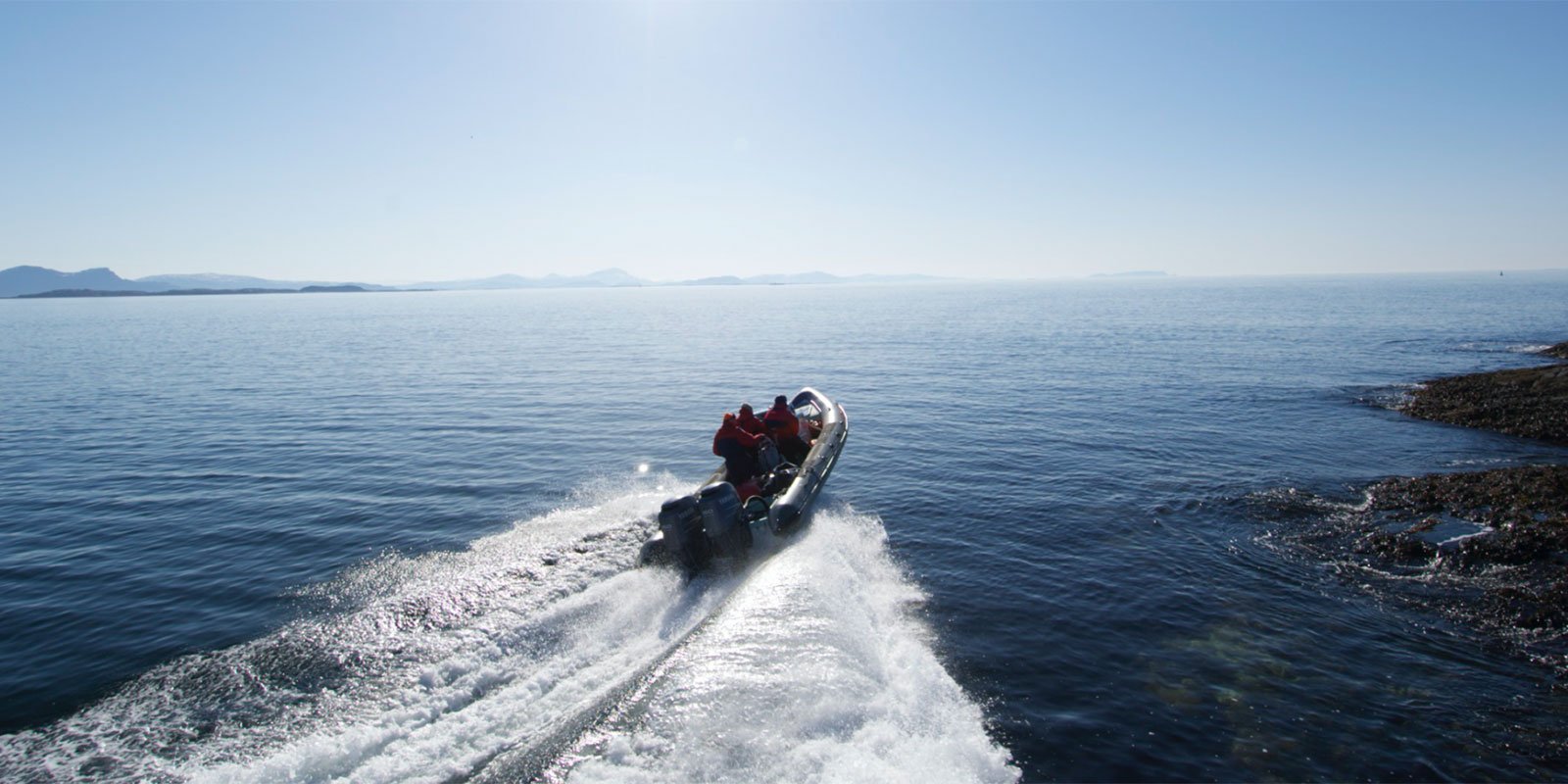 Rib2