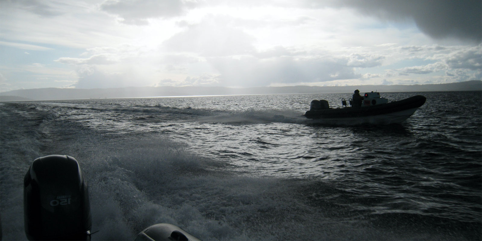 rib3