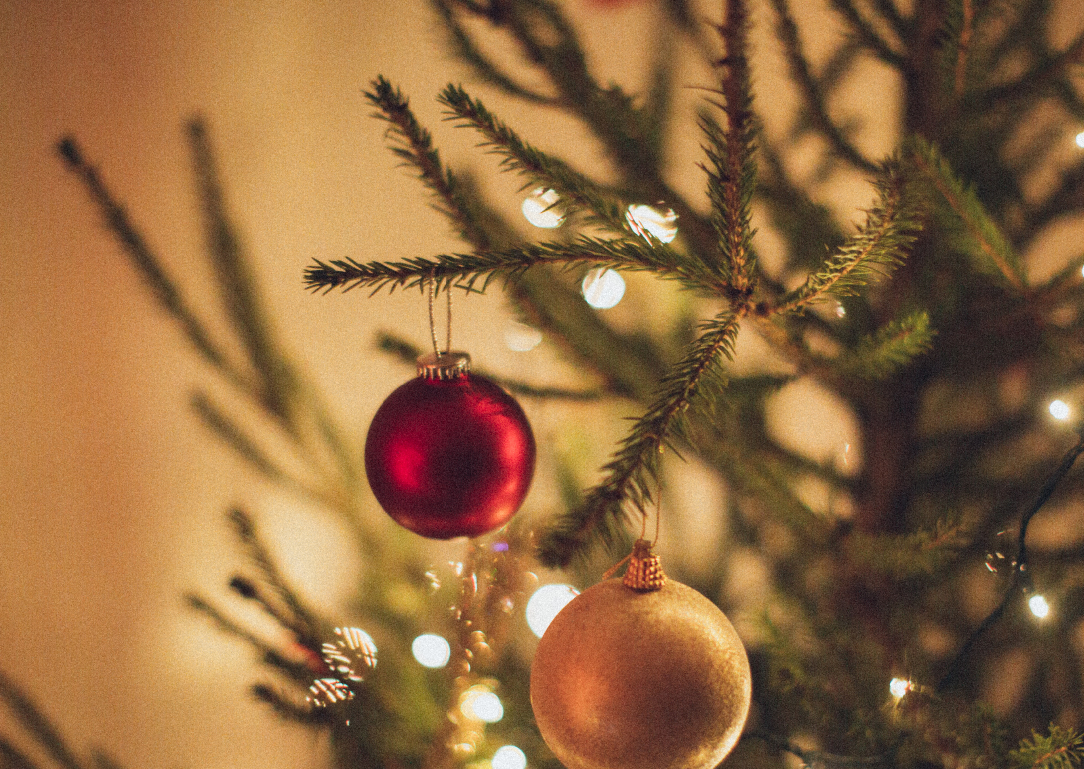 Fet Krem Foto Sirkel Is Date Invitasjon Kort-5
