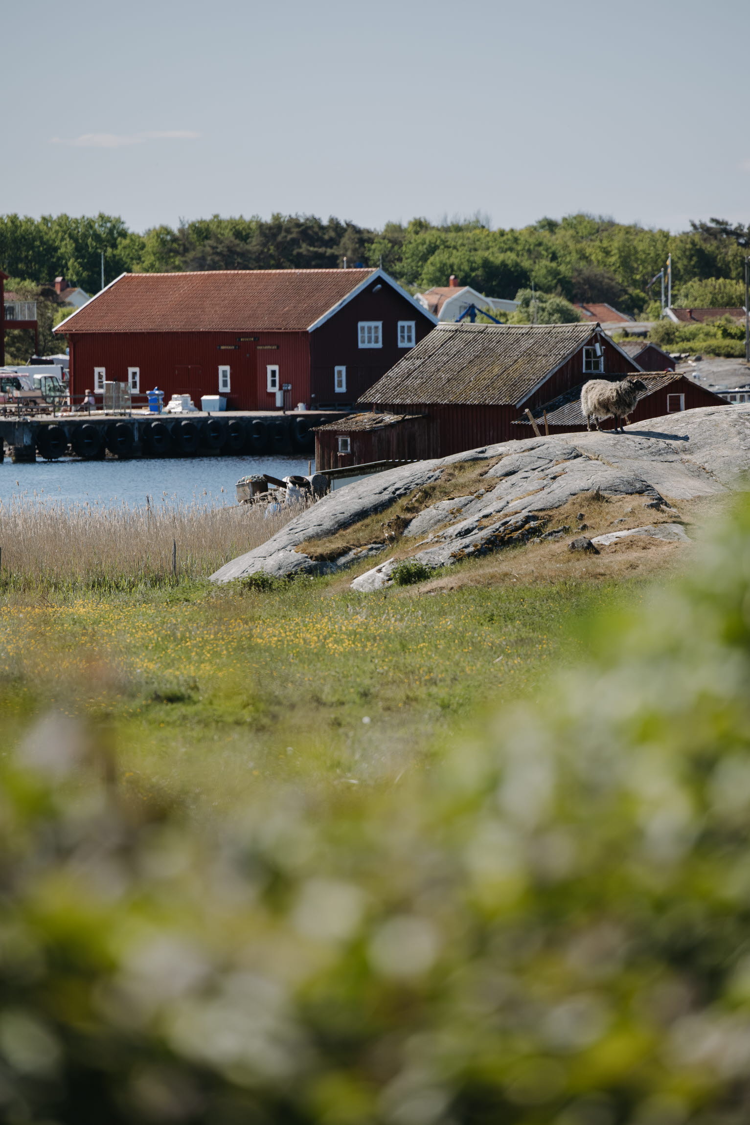 Kosterhavets Ekobod-61- Photo Cred Kristina Giller