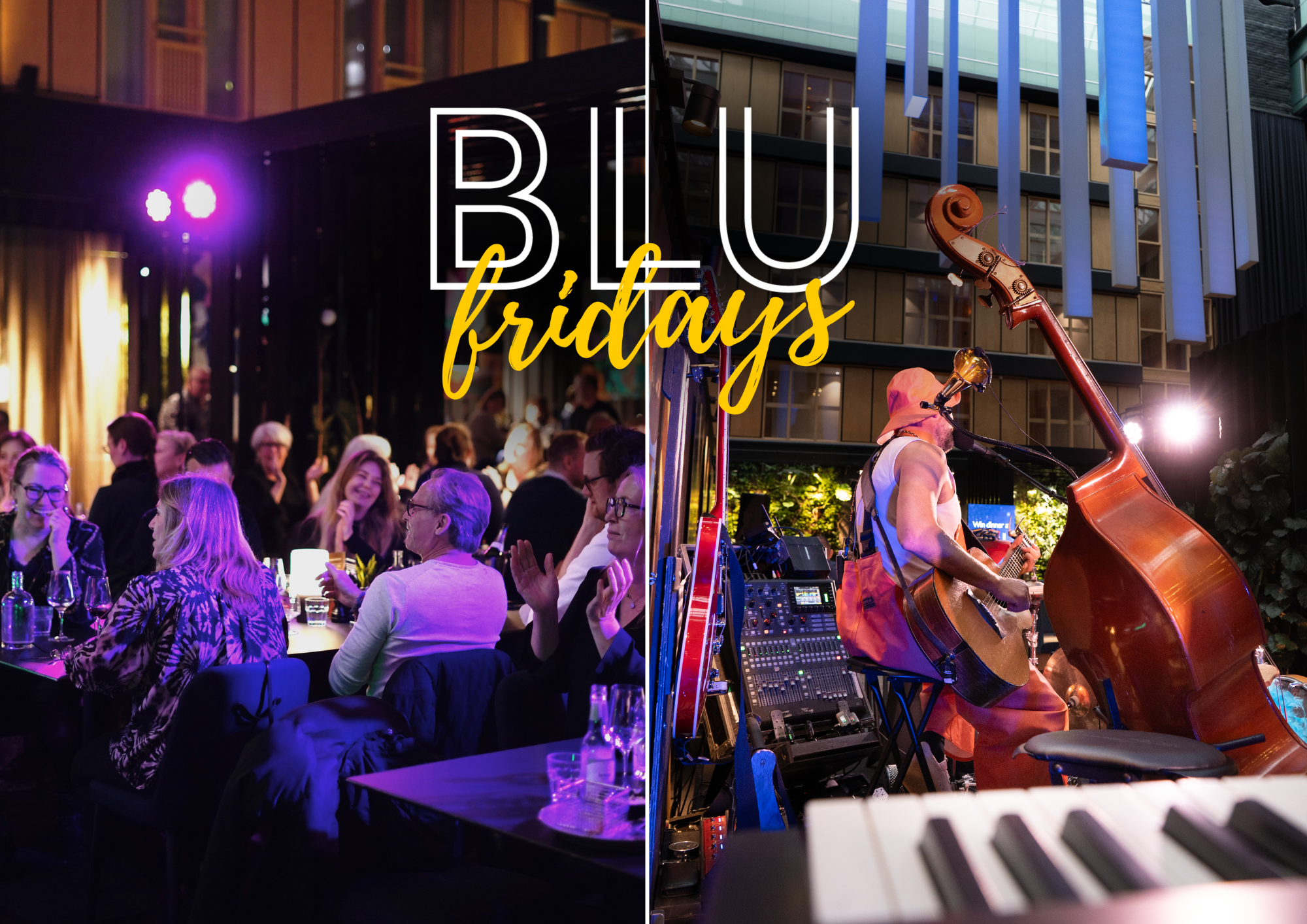 blu fridays banner